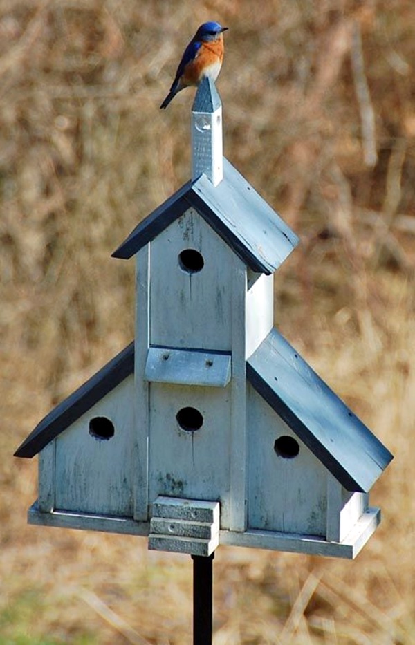 40-beautiful-bird-house-designs-you-will-fall-in-love-with-bored-art