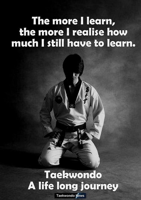 40 Inspirational Martial Art Quotes You Must Read Right Now - Bored Art