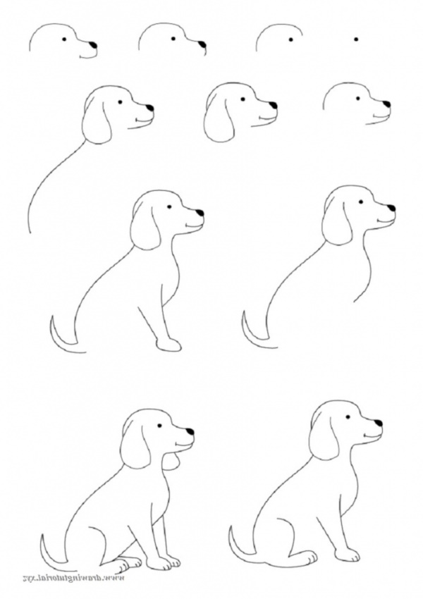 How To Draw Easy Animals Step By Step Image Guide