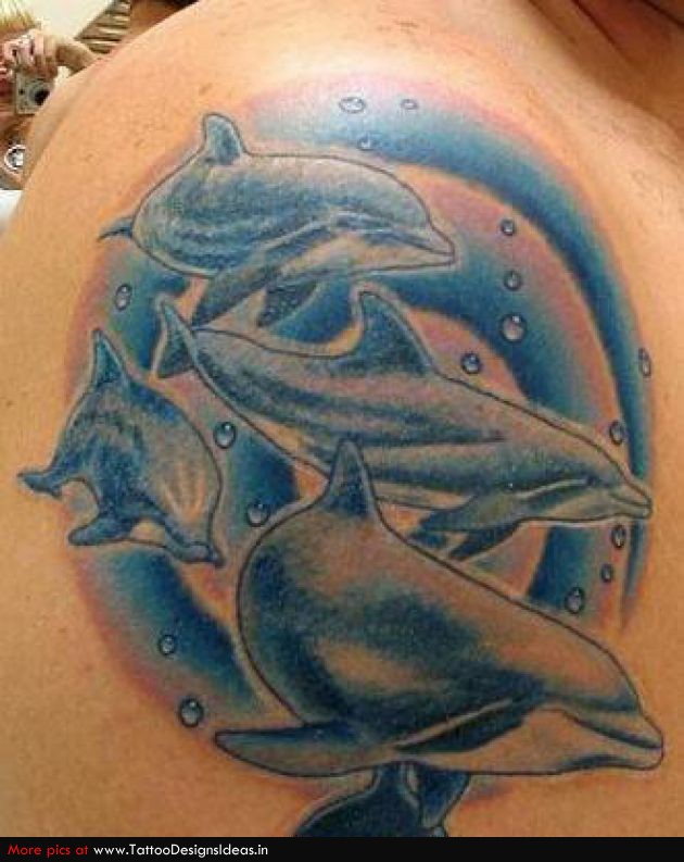 40 Superb Dolphin Tattoo Design Ideas For Women