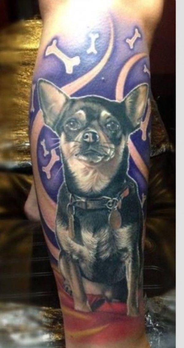 50 Of The Best Chihuahua Tattoo Ideas Ever  The Paws