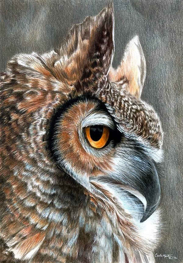 colored pencil drawings animals