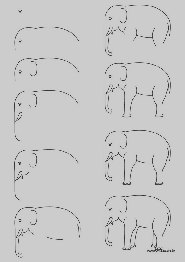40 Easy Step By Step Art Drawings To Practice - Bored Art