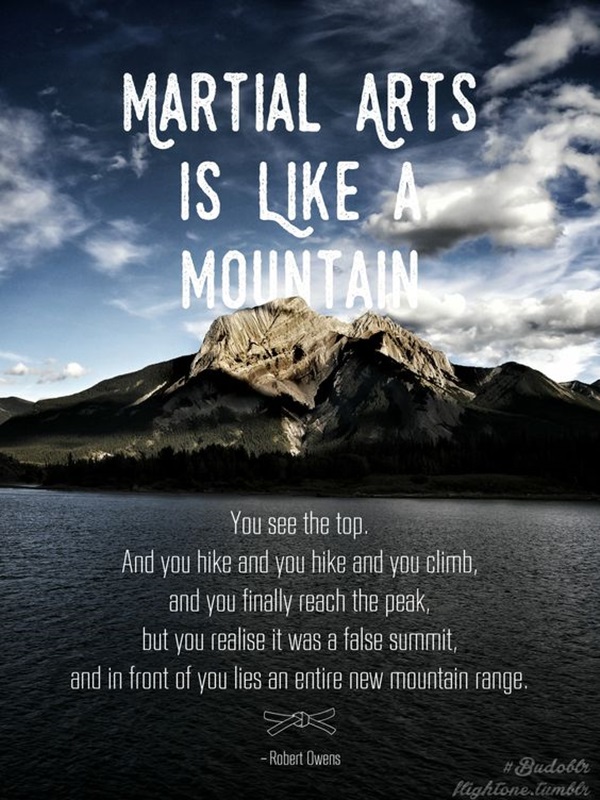 40 Inspirational Martial Art Quotes You Must Read Right Now - Bored Art