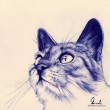 Brilliant And Bright Ballpoint Pen Art - Bored Art