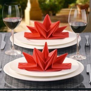 40 Most Creative Table Napkin Folding Ideas To Practice - Bored Art