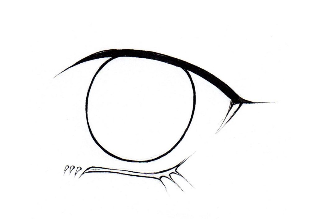 Cartoon Eye Formulas | The Drawing Website