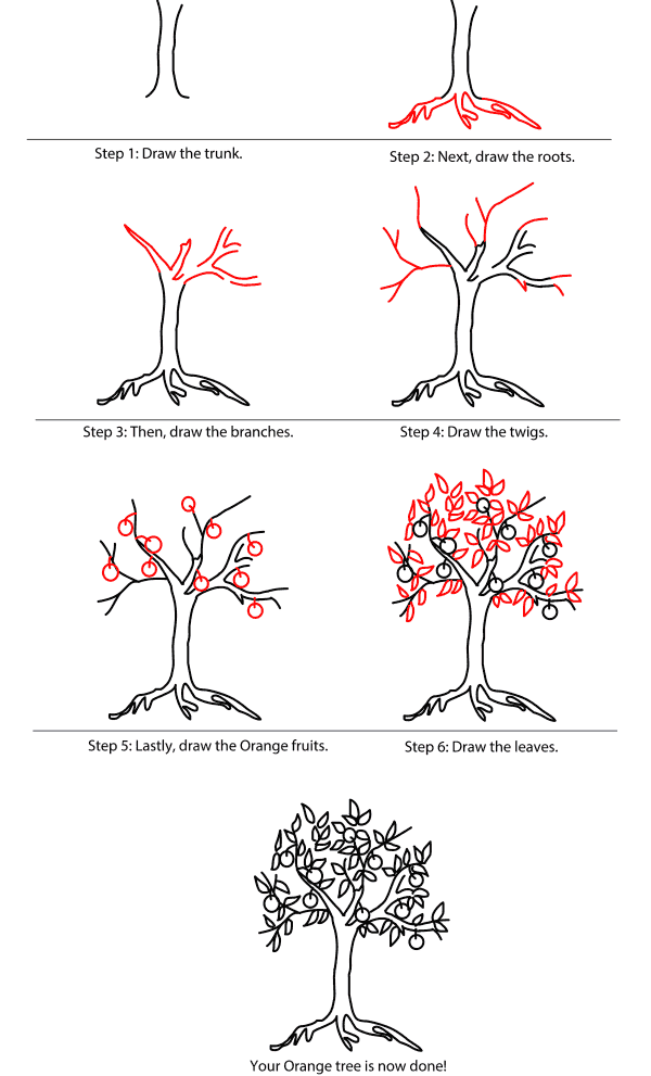 Drawing A Tree Step By Step Easy Step By Step Sketches Kellydli