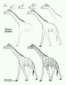 20 Ways To Draw A Giraffe Like A Cartoonist - Bored Art