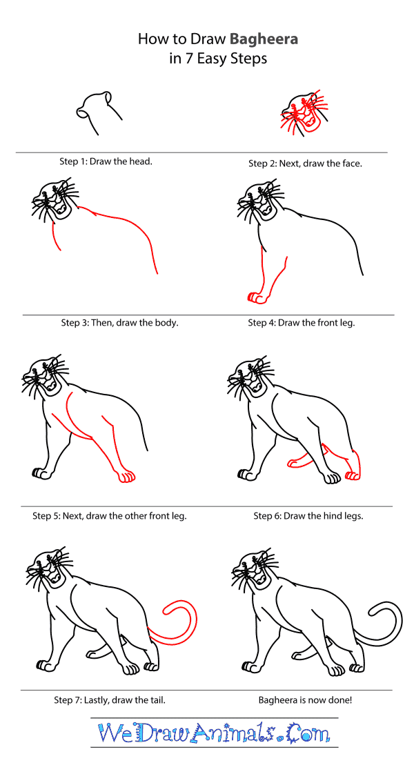 How To Draw Easy Animals Step By Step Image Guide