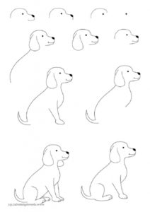 How To Draw Easy Animals (Step By Step Image Guides) - Bored Art