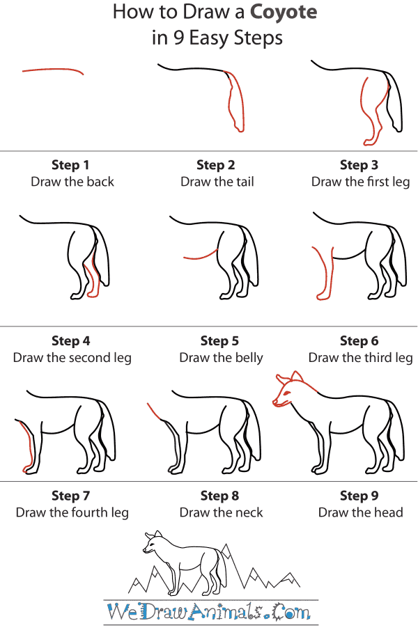 how to draw different types of animals drawing easy step by  step@DrawingTalent 