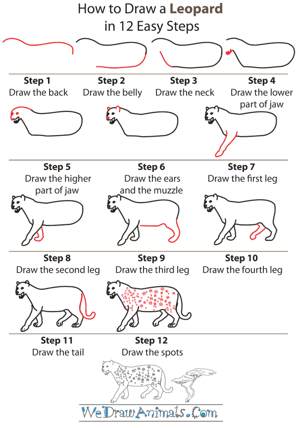  How To Draw Animals com in the year 2023 Check it out now 
