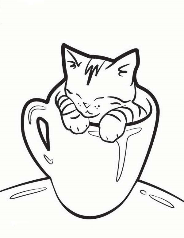 cat drawings easy