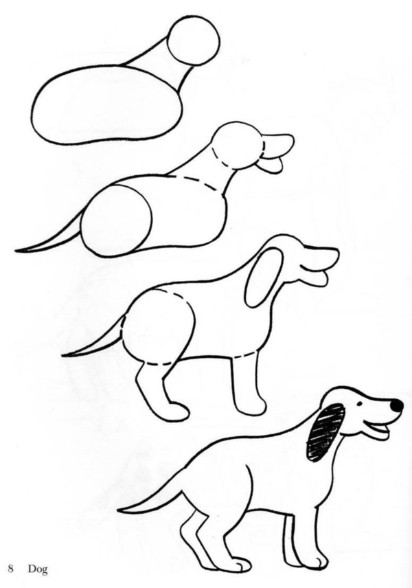 31 Easy Dog Drawings - Dog Learn How to Draw Step by Step - A Crafty Life