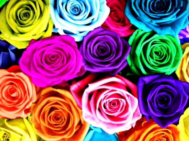 differentes couleurs rose