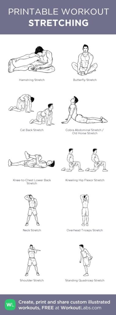 40 Charts of Post Workout Stretches to Prevent Injuries - Bored Art